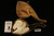 RAM Hand Carved Block Meerschaum Pipe by Kenan with custom case 10593