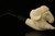 RAM Hand Carved Block Meerschaum Pipe by Kenan with custom case 10593