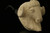 RAM Hand Carved Block Meerschaum Pipe by Kenan with custom case 10593