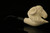RAM Hand Carved Block Meerschaum Pipe by Kenan with custom case 10593