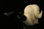 RAM Hand Carved Block Meerschaum Pipe by Kenan with custom case 10593