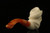 Cowboy Skull Hand Carved Block Meerschaum Pipe in custom CASE 11053