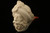 Sultan Suleiman the Magnificent Hand Carved Block Meerschaum Pipe in CASE 11082