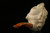 Sultan Suleiman the Magnificent Hand Carved Block Meerschaum Pipe in CASE 11082
