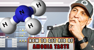 Learn How To Avoid The Ammonia Taste | Beginner’s Guide