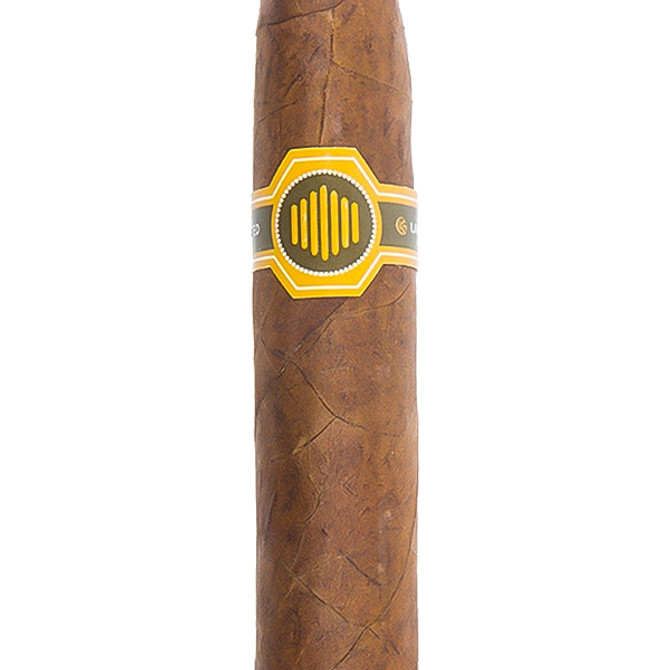 Vertical Warped La Colmena Black Honey Edition