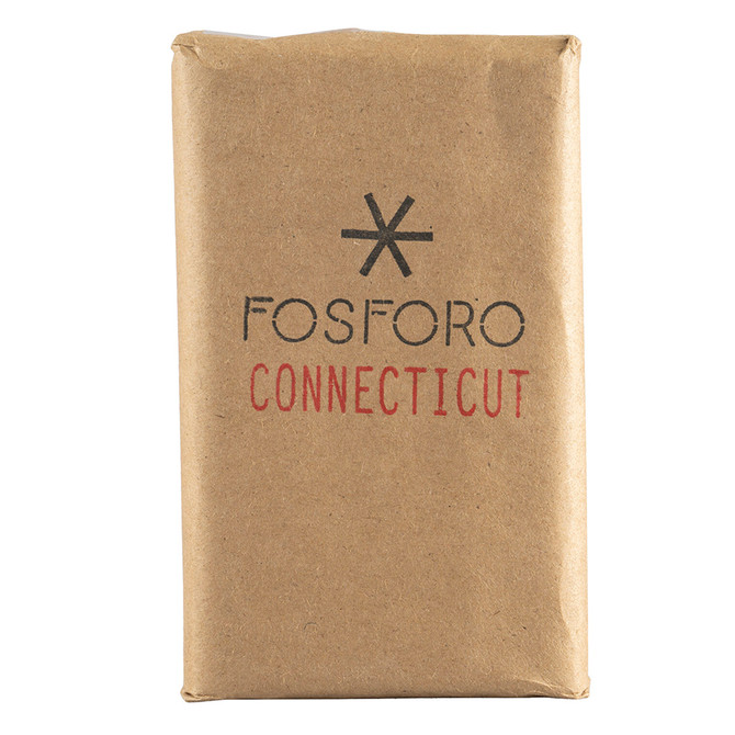 Fosforo Connecticut Corona Gorda Bundle