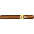 Taste Privada Cigar Club - From Chico by Chico Rivas