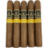 Pack of Toro The Revivalist