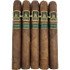 Pack of Wanderer Toro Cigars