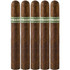 Umbagog Toro 5 Pack