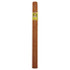 Shop LCA French Fry Lancero Aged 6 Years