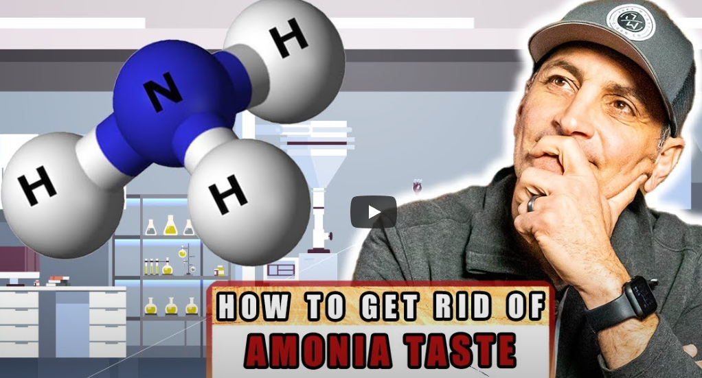 Learn How To Avoid The Ammonia Taste Beginner’s Guide Mardo Cigars