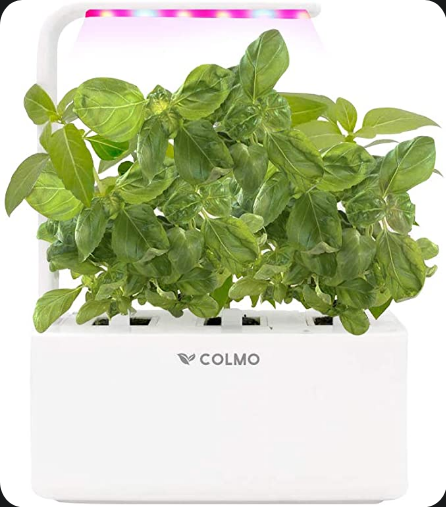 Colmo Products FAST CLICK ONLINE