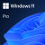 Windows 11 Home/Professional 64Bit Eng Intl 1pk DSP OEI DVD-KW9-00682