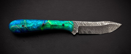 Coastline Hunter Full Back