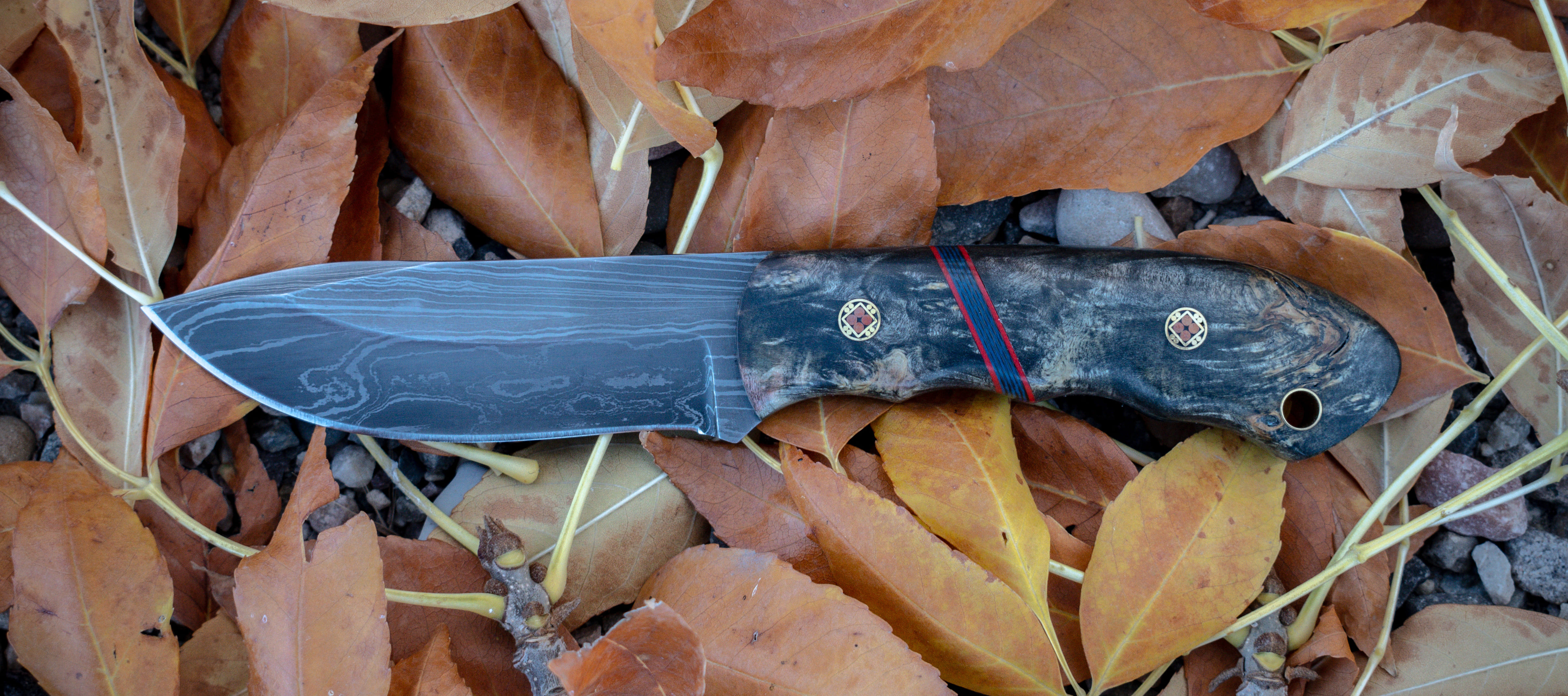 What is the Best Knife for Western and DIY Hunting?