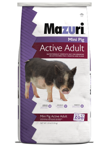 Pig Diet: Ultimate Guide to Healthy and Balanced Feeding