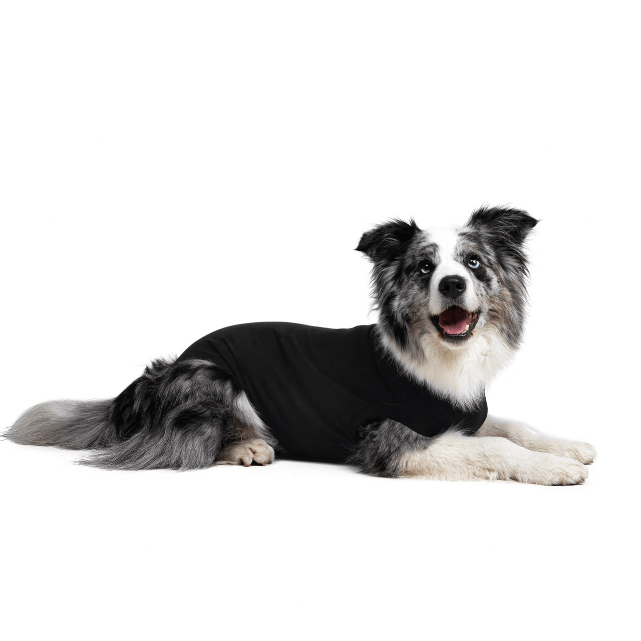 Suitical Dog Recovery Suit