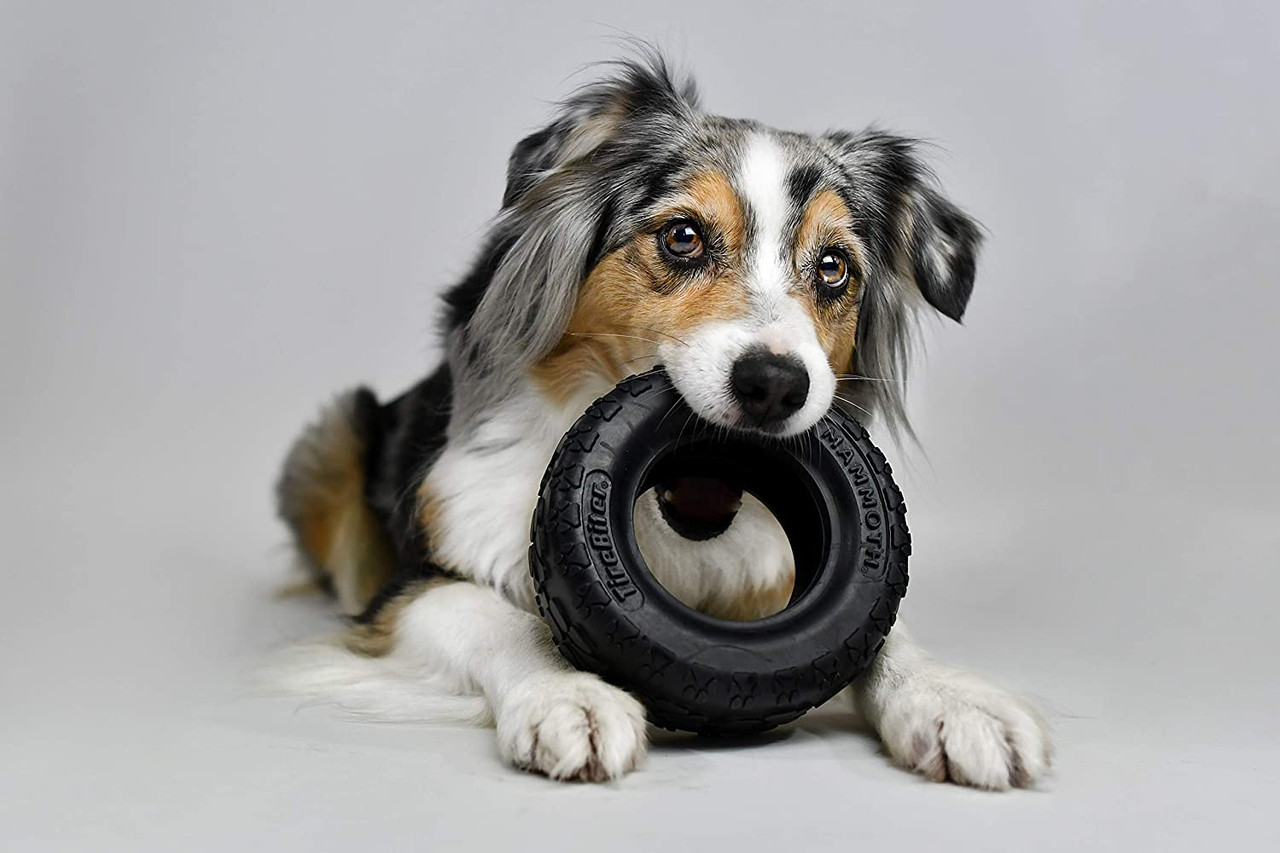 Mammoth TireBiter Hundespielzeug Aus Naturkautschuk – Größe M (20,3 Cm), Für Hunde 13,6–22,7 Kg