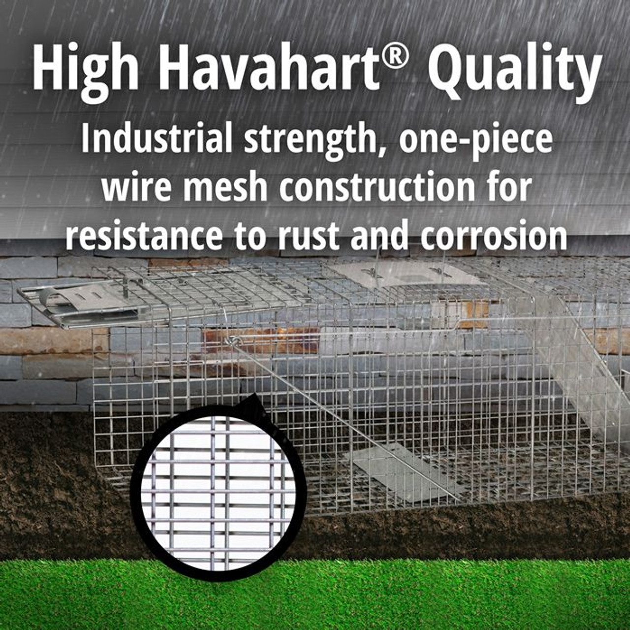 Havahart Small 2-Door Live Animal Trap