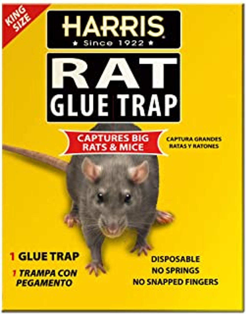 Mouse & Rat - Glue Traps