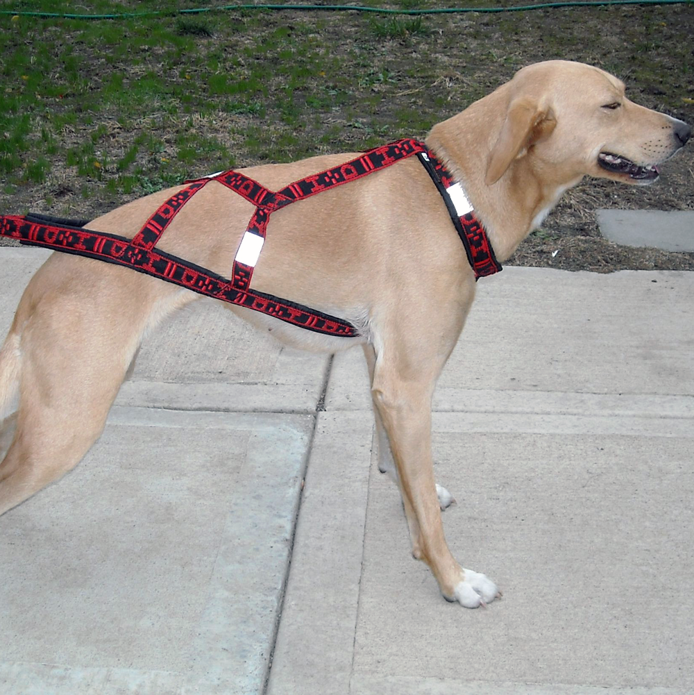 howling dog harness