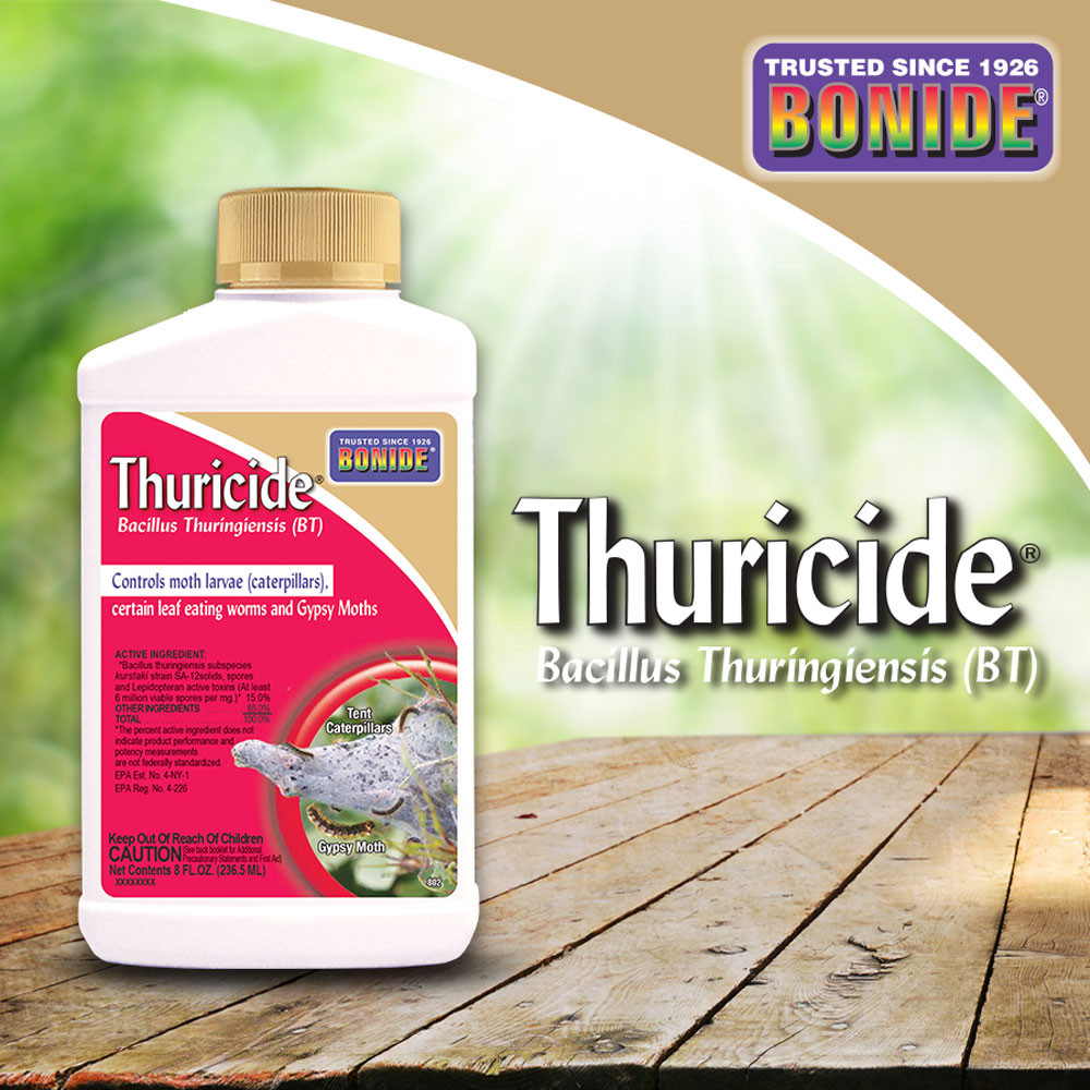 Bonide Thuricide Concentrate - Thumbnail 4