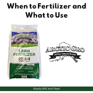 When to Fertilizer and What to Use