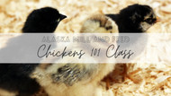 Chickens 101 Class | Alaska Mill & Feed