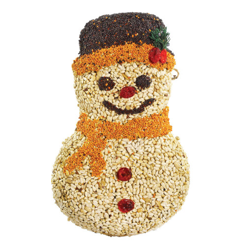 Mr. Bird Frosty Snowman Bird Seed, 10"
