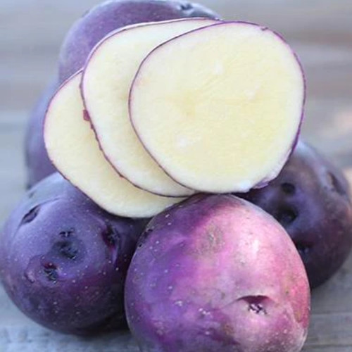 Huckleberry Gold Seed Potato, 5lb