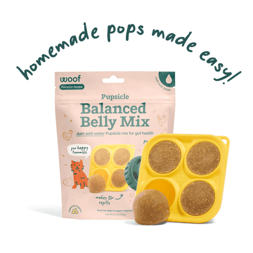 Woof Pupsicle Mix Balanced Belly, 5.5oz