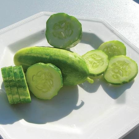 Territorial Bush Pickle Cucumber Seed
