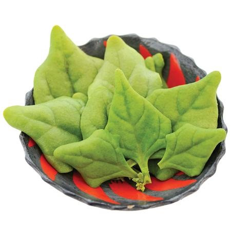 Territorial New Zealand Spinach New Seed