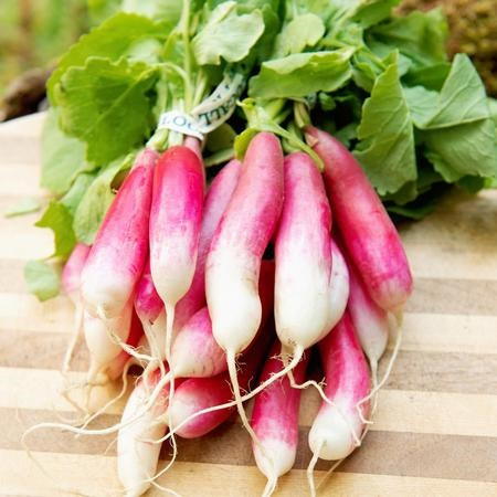 Territorial French Breakfast Radish Seed