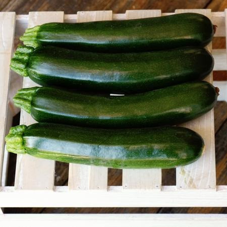 Territorial Emerald Delight Summer Squash Seed
