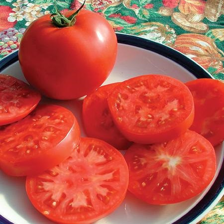 Territorial Legend Tomato Seed