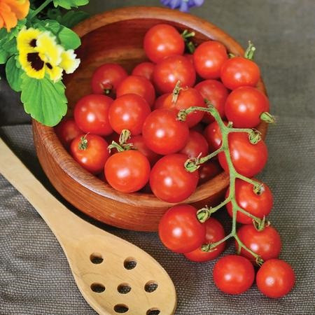 Territorial Lizzano Tomato Seed