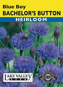 Lake Valley Bachelor's Button Blue Boy Seed