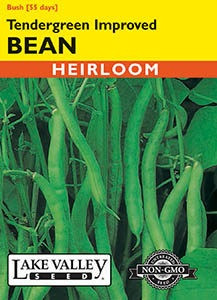 Lake Valley Bean (Bush) Tendergreen Improved Seed