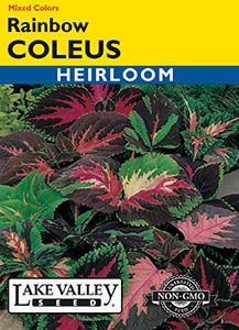 Lake Valley Coleus Rainbow Mix Seed