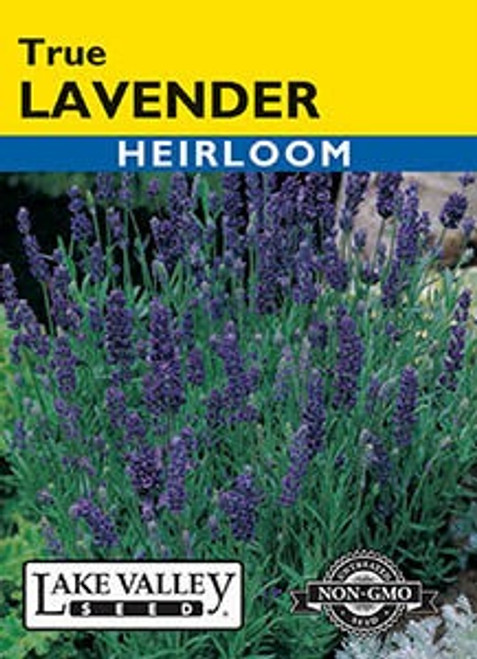 Lake Valley Lavender True Seed