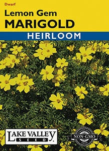 Lake Valley Marigold Lemon Gem Seed