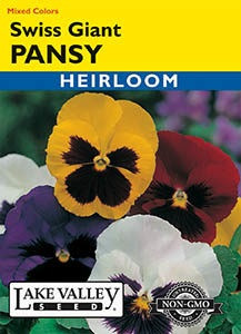 Lake Valley, Swiss Giant Pansy