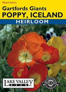 Lake Valley Poppy (Iceland) Gartfords Mixed Seed