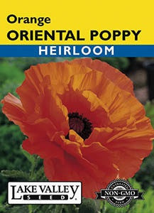 Lake Valley Poppy (Oriental) Orange Seed