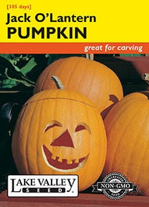 Lake Valley Pumpkin Jack O'Lantern Seed