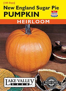 Lake Valley Pumpkin New England Sugar Pie Seed
