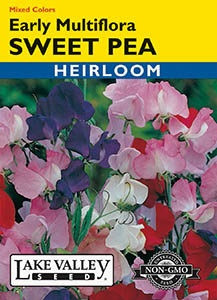 Lake Valley Sweet Pea Early Multiflora Mixed Seed